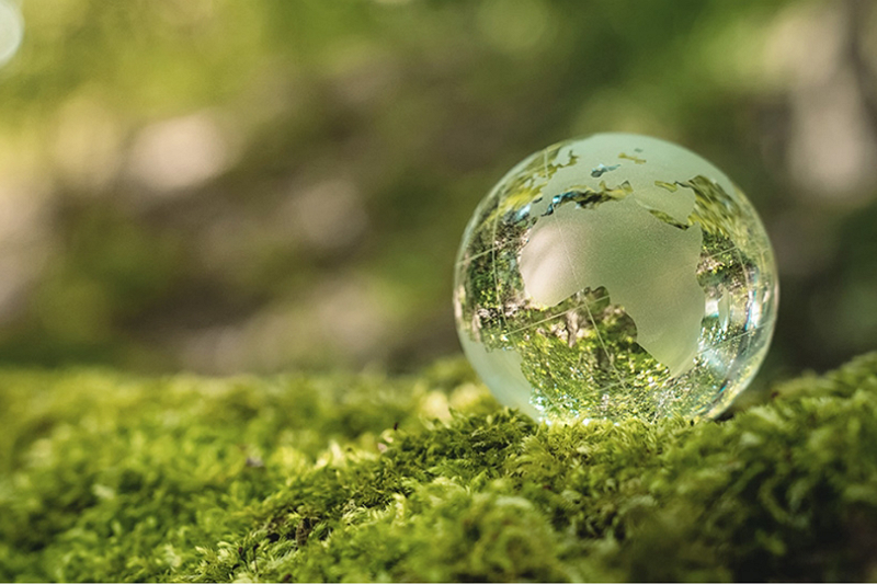 Sustainable production of irons2
