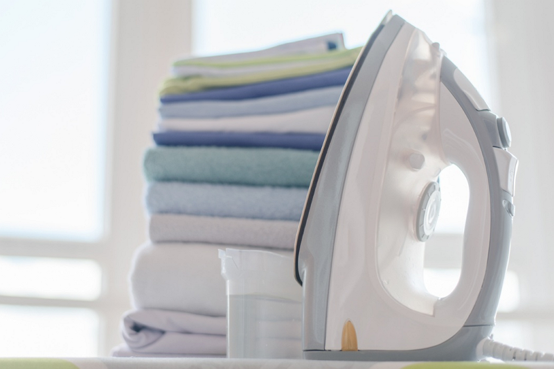 Choose The Best Steam Iron Model For Your Business