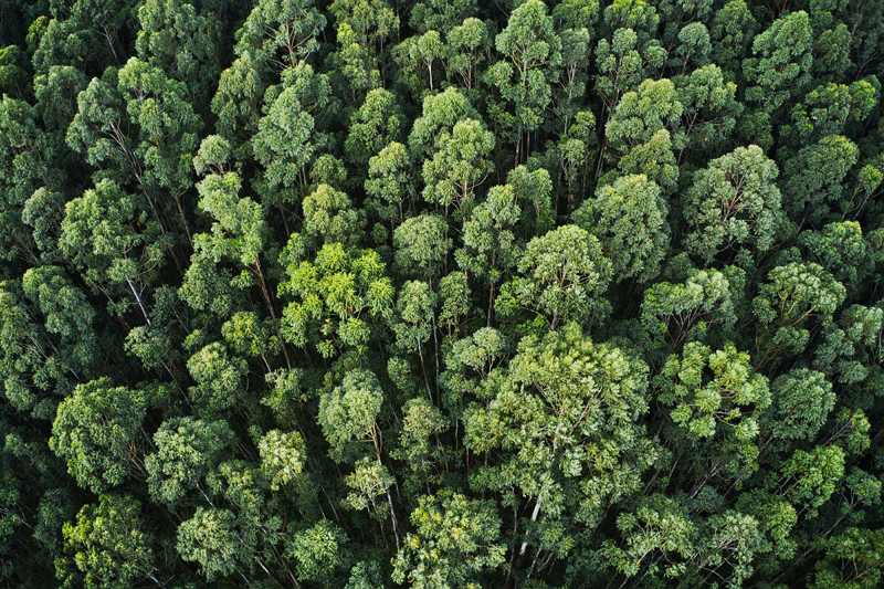 How Does Richer Production Deal With Sustainable Development?