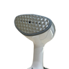 1700W Portable Cloth Steamer Heating Handheld Mini Size Clothes Travel Portable Iron Garment Steamer
