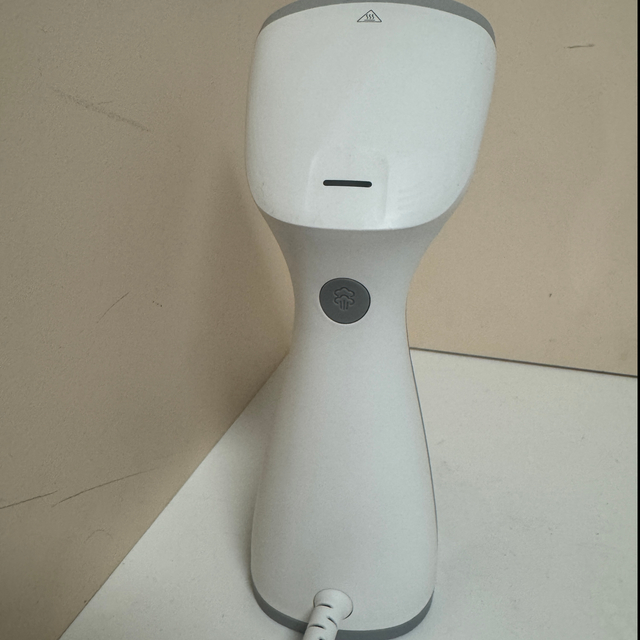 Electrical Appliances Continuous Steam Handheld Garment Steamer New Model