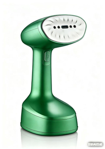 Foldable Handy Steamer