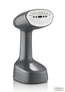 Foldable Handy Steamer