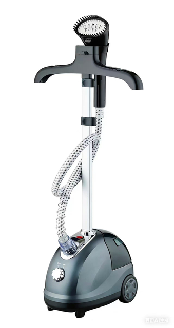 Competitive Garment Steamer